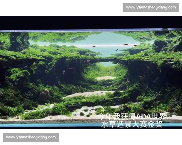 草缸造景艺术大赛作品展示 绿意盎然的水下世界与自然景观的完美融合